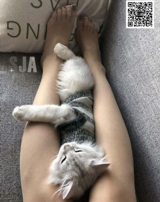 为人民的服务电影在线看