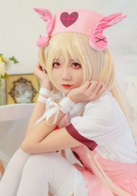 成人猫咪